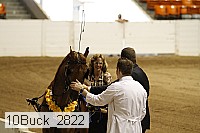 10buck_2822 thumbnail