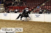 10buck_2924 thumbnail