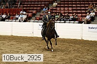 10buck_2925 thumbnail