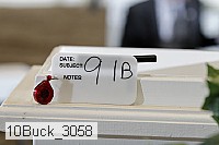 10buck_3058 thumbnail