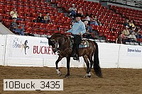 10buck_3435 thumbnail