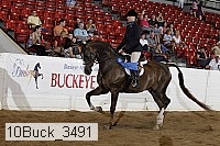10buck_3491 thumbnail