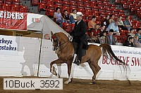 10buck_3592 thumbnail