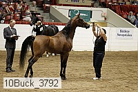 10buck_3792 thumbnail