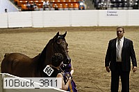 10buck_3811 thumbnail