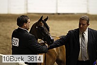 10buck_3814 thumbnail