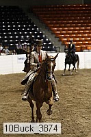 10buck_3874 thumbnail
