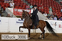 10buck_3886 thumbnail
