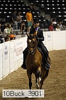 10buck_3901 thumbnail