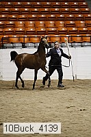 10buck_4139 thumbnail