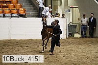 10buck_4151 thumbnail