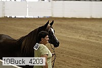 10buck_4203 thumbnail