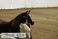 10buck_4204 thumbnail