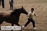 10buck_4215 thumbnail