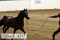 10buck_4217 thumbnail