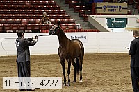 10buck_4227 thumbnail