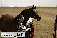 10buck_4249 thumbnail