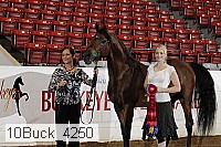 10buck_4250 thumbnail