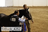 10buck_4252 thumbnail