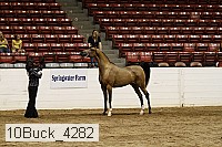 10buck_4282 thumbnail
