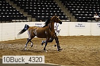 10buck_4320 thumbnail