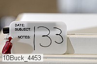 10buck_4453 thumbnail