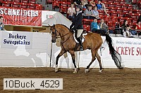 10buck_4529 thumbnail