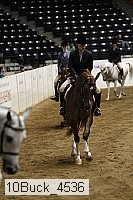 10buck_4536 thumbnail
