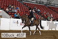 10buck_4537 thumbnail