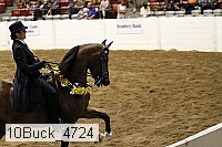 10buck_4724 thumbnail