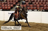 10buck_5507 thumbnail