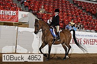10buck_4852 thumbnail