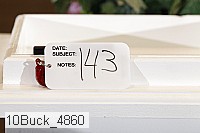 10buck_4860 thumbnail