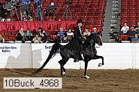10buck_4968 thumbnail