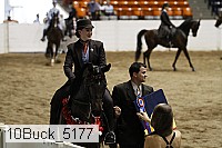 10buck_5177 thumbnail