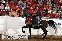 10buck_5205 thumbnail