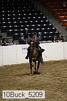 10buck_5209 thumbnail