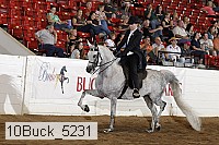 10buck_5231 thumbnail