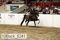 10buck_5241 thumbnail