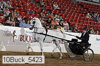 10buck_5423 thumbnail