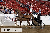 10buck_5587 thumbnail