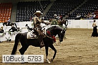 10buck_5783 thumbnail