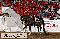 10buck_5795 thumbnail