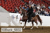10buck_5832 thumbnail