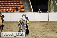 10buck_5929 thumbnail