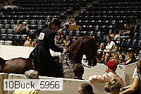 10buck_5956 thumbnail