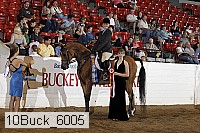 10buck_6005 thumbnail