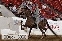 10buck_6066 thumbnail