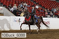 10buck_6088 thumbnail