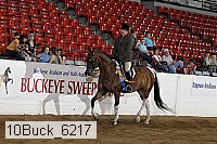 10buck_6217 thumbnail